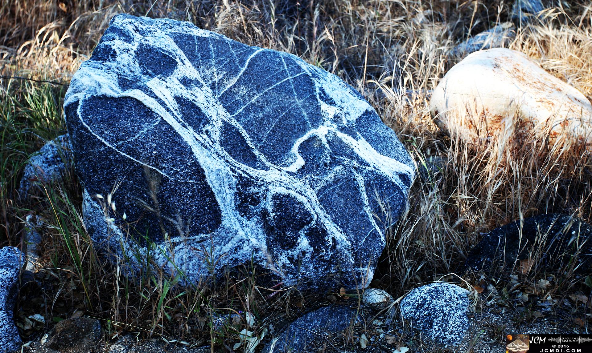 Whitney Canyon Hike stroodle boulder